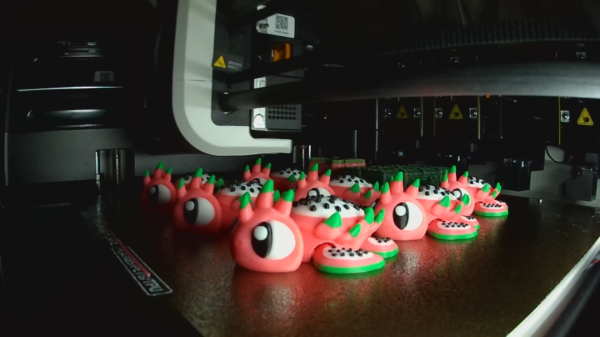 Dragon fruit flexi turtle